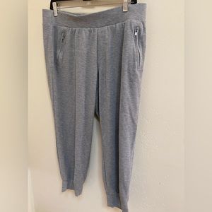 Torrid gray joggers. With zip pockets. Very good quality.  Size 12-14